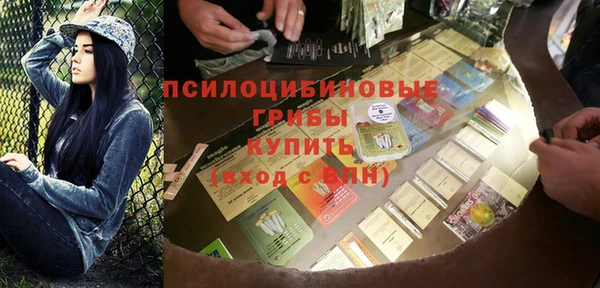 стафф Арсеньев