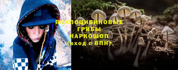 mdpv Строитель