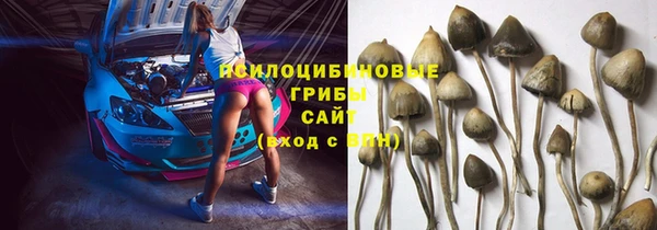 мяу мяу мука Аркадак