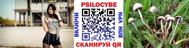 ОМГ ОМГ зеркало Устюжна Галлюциногенные грибы ЛСД даркнет сайт