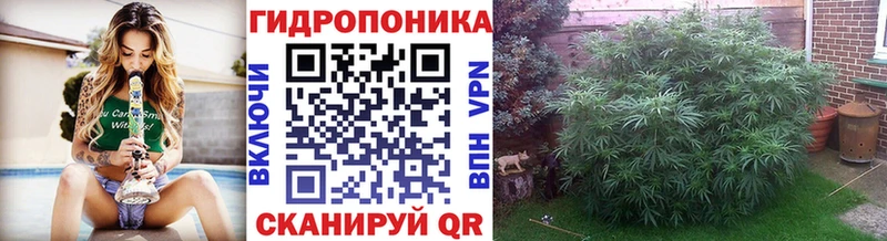 Каннабис гибрид  OMG зеркало  Устюжна 